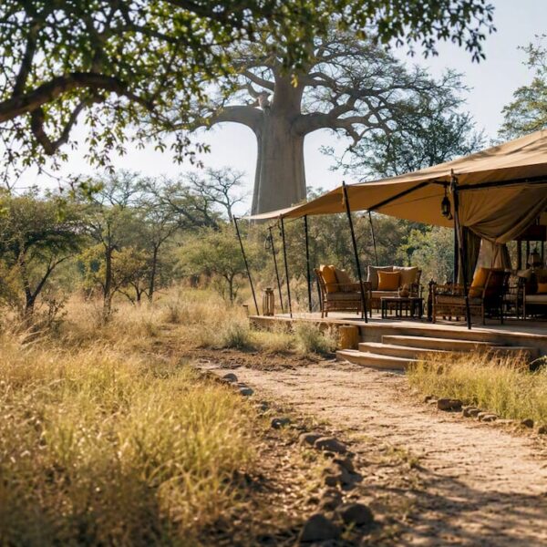What Is a Bespoke Safari Camp? A Guide for Luxury Travelers